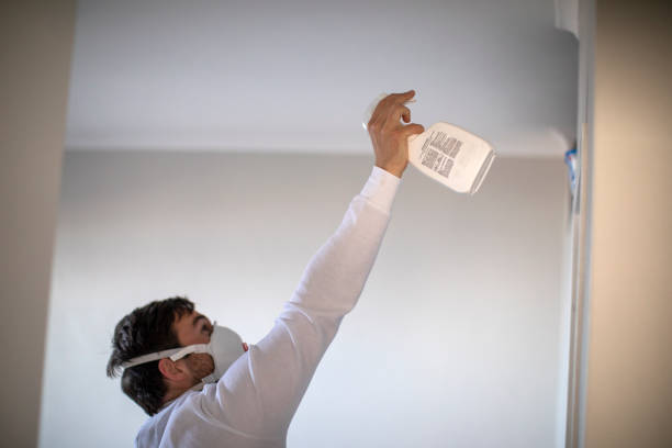 Best Mold Removal Process  in Plainsboro Center, NJ