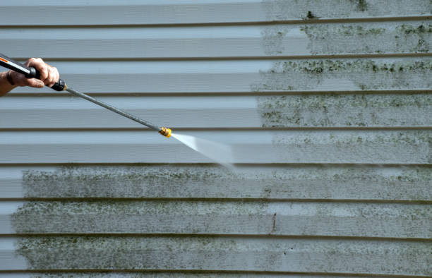 Best Commercial Mold Removal  in Plainsboro Center, NJ