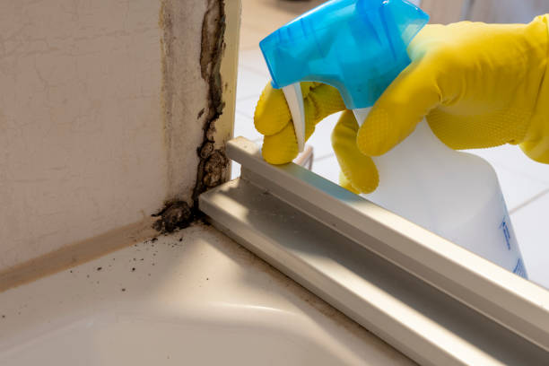 Professional Mold Removal in Plainsboro Center, NJ