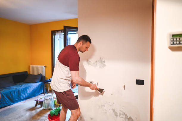 Best Black Mold Removal  in Plainsboro Center, NJ