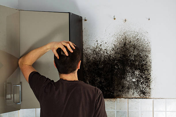 Best Emergency Mold Removal  in Plainsboro Center, NJ